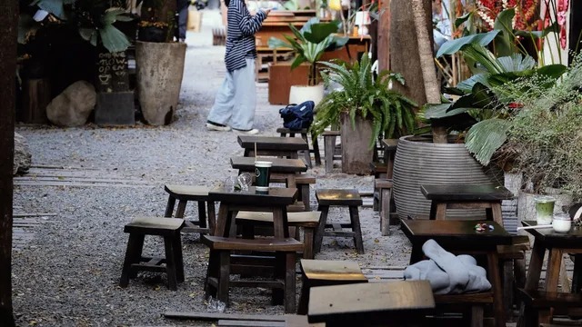 A leafy outdoor cafe with wooden seating in Chiang Mai, Thailand
